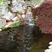 Waterfall and Pond Construction Project After
